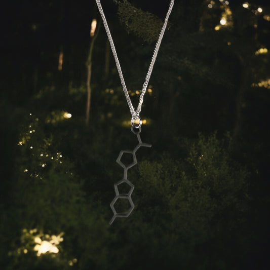 Firefly or Luciferin Molecule - Science Earrings and Necklaces