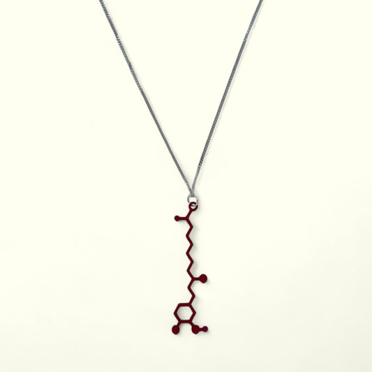 Chilli Molecule - Science Earrings and Necklaces