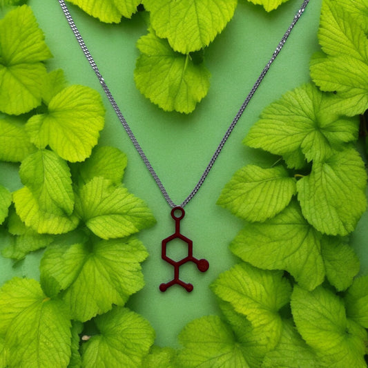 Menthol Molecule - Science Earrings and Necklaces