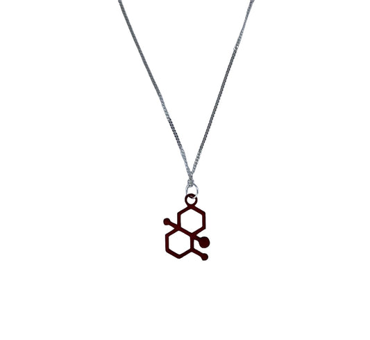 Geosimine (Earth) Molecule -  Science Earrings and Necklaces